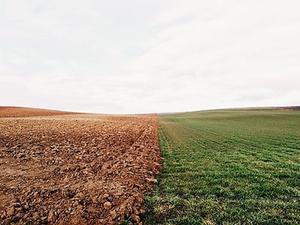 Climate change adaptations in primary industries