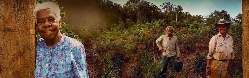 Wet Tropics Aboriginal Culture 