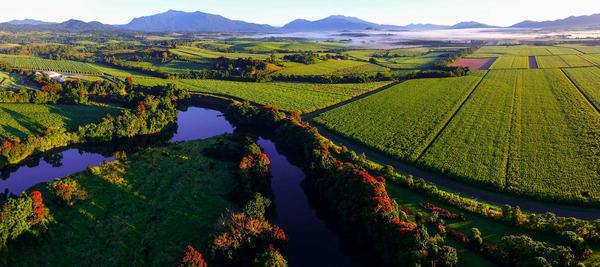 Johnstone River landscape