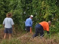 Weed Control Methods