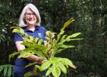 Mabi Forest Recovery Team